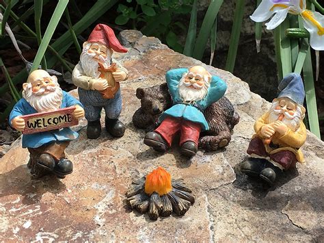 gnomes amazon|where to buy cheap gnomes.